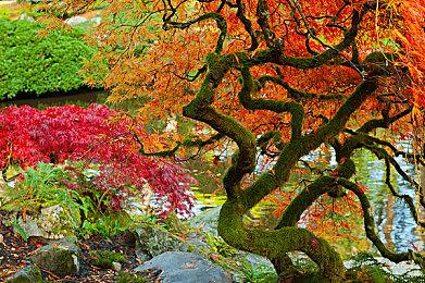 《女主角忍法帖 姫影・壹》登陆Steam 美少女大战蚁人