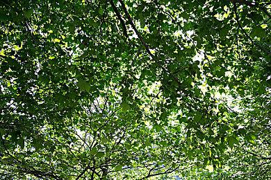 解谜冒险游戏《猪头三大冒险》2月1日上线 NS和PS