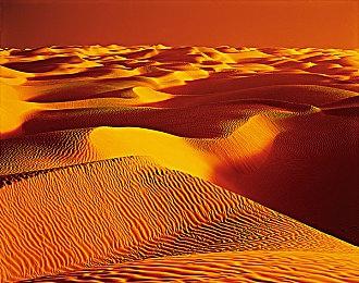 《战地2042》皮肤影射俄乌冲突 官方回应迅速改名