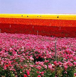 《木卫四协议》仍计划年内发售 自称4A级游戏